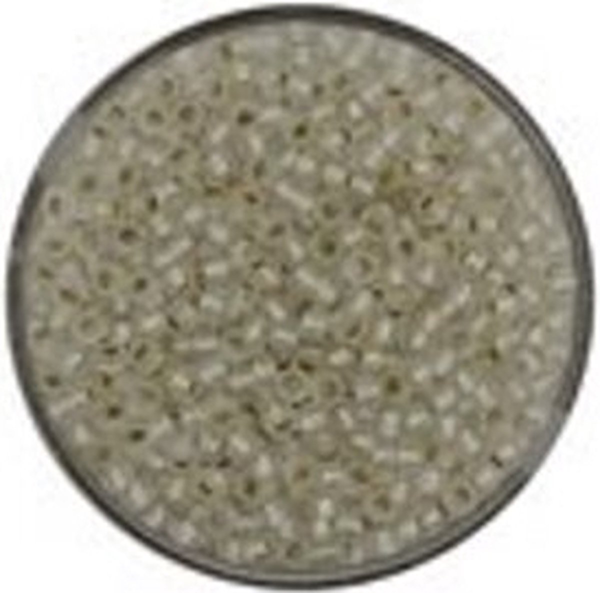 9660-044 Jap. Miyukirocailles - 2,2mm - silverlined crystal mat - 12 gram