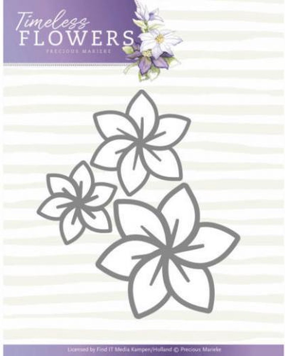 Mal  -   - Timeless Flowers - Clematis Trio