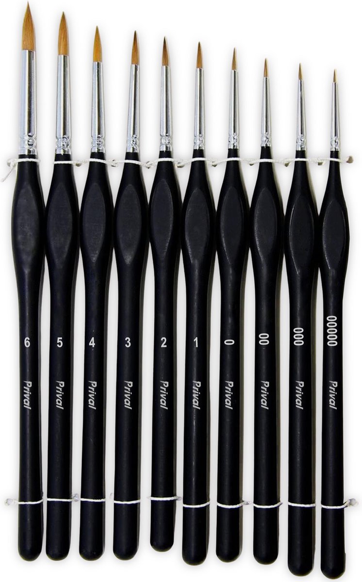   Professionele Penselen - Schilderen - Penselenset - Aquarel - Acrylverf - Penselen set - 10 stuks