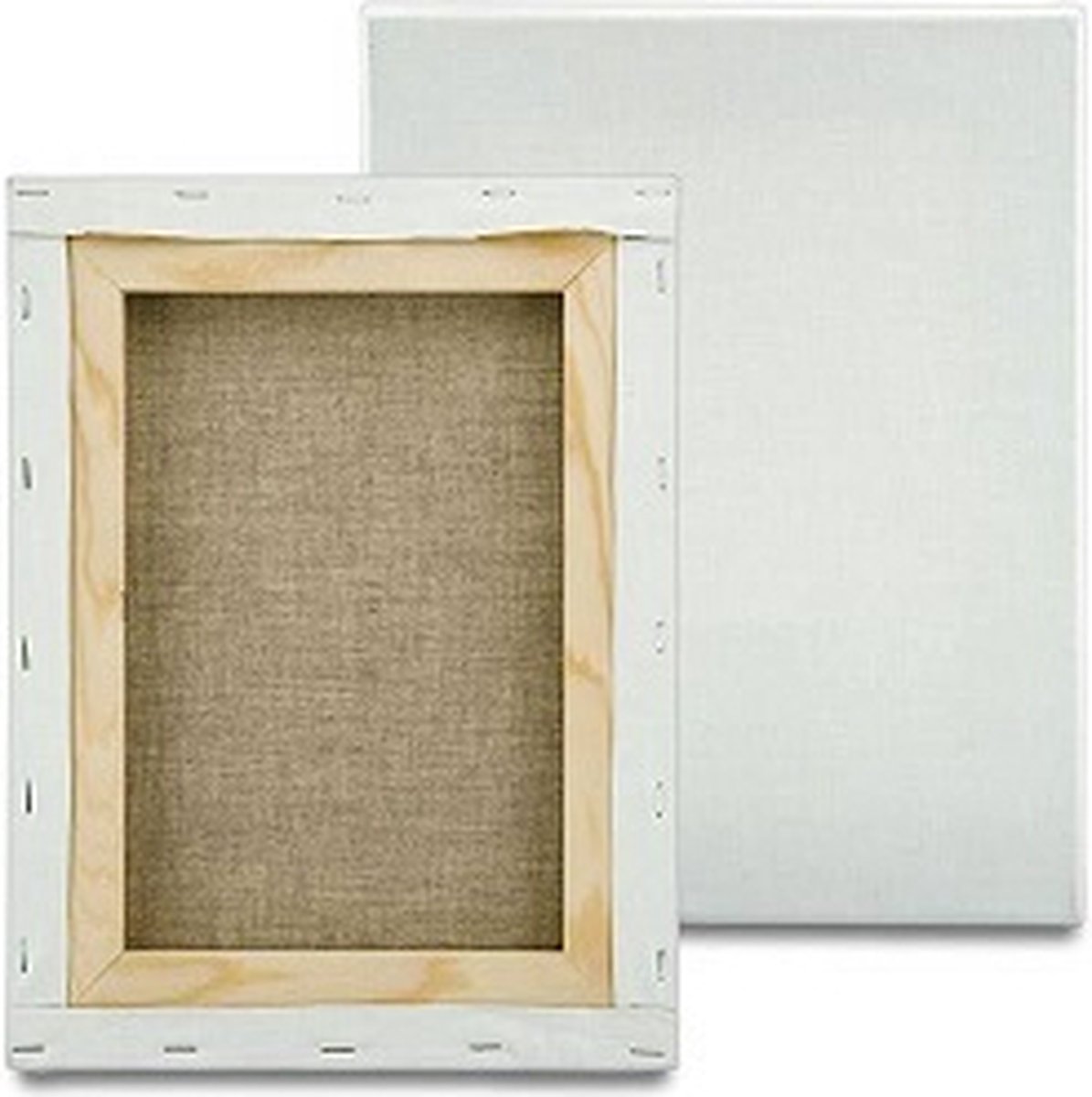 CO Professional Canvas Schildersdoek 80x160