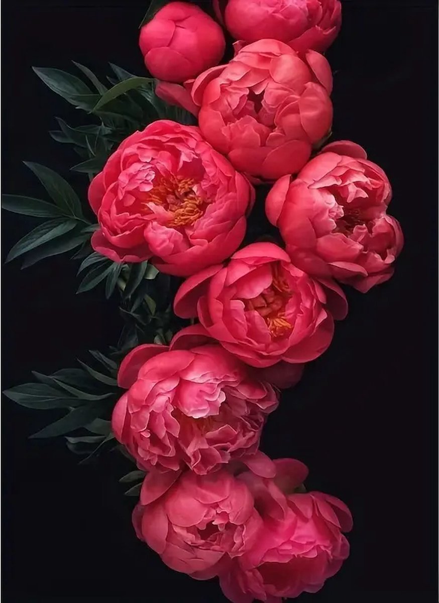 Diamond Painting - Bloemen - Pioenrozen - Volledig - Ronde steentjes - 30x40cm