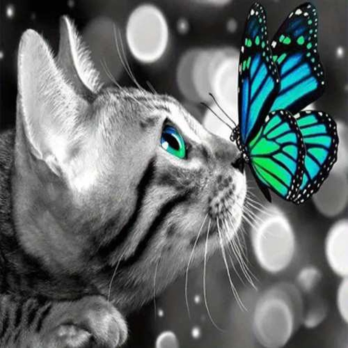Diamond Painting - Kat - Vlinder - Volledig - Ronde steentjes - 30x40cm