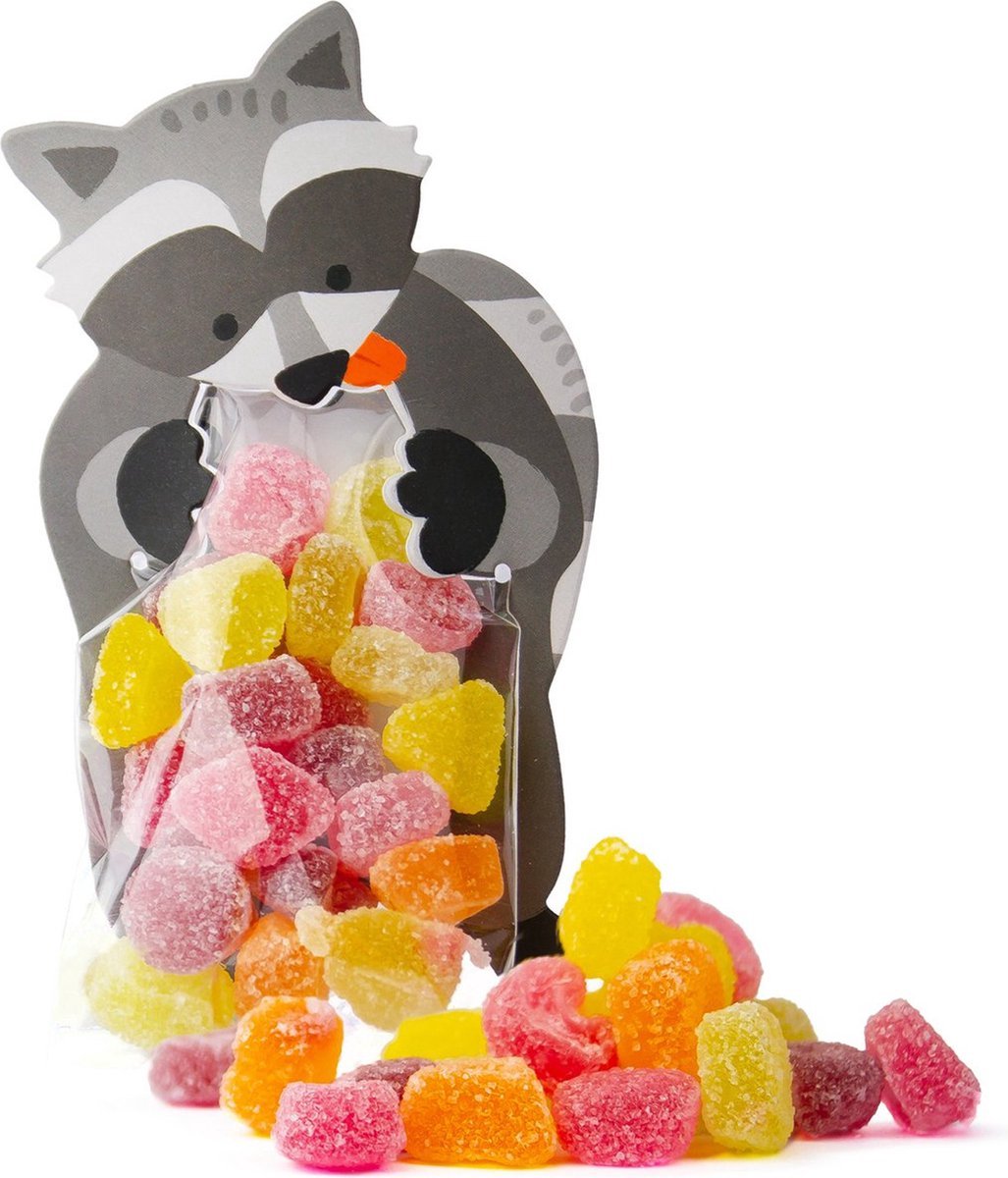 Uitdeelzakjes Wasbeer Snoepzakjes – Cellofaanzakjes Transparant met Wasbeer van Karton – 30 stuks – 12cm x 7cm