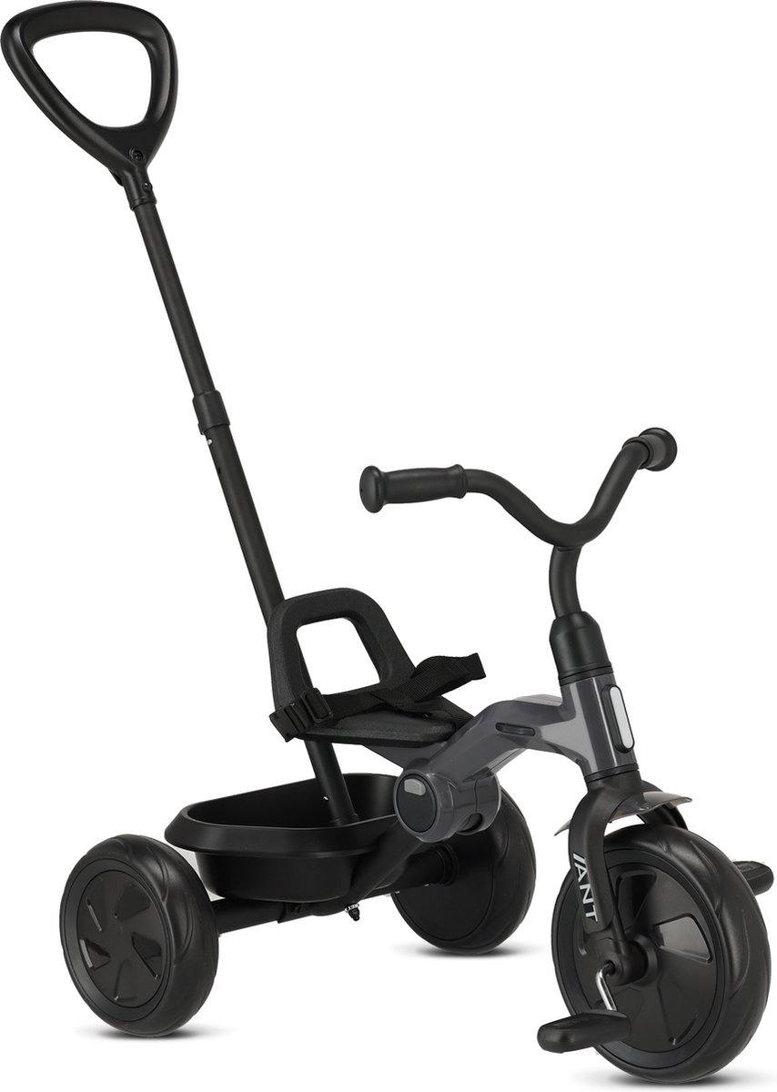   Ant   met duwstang - Grijs