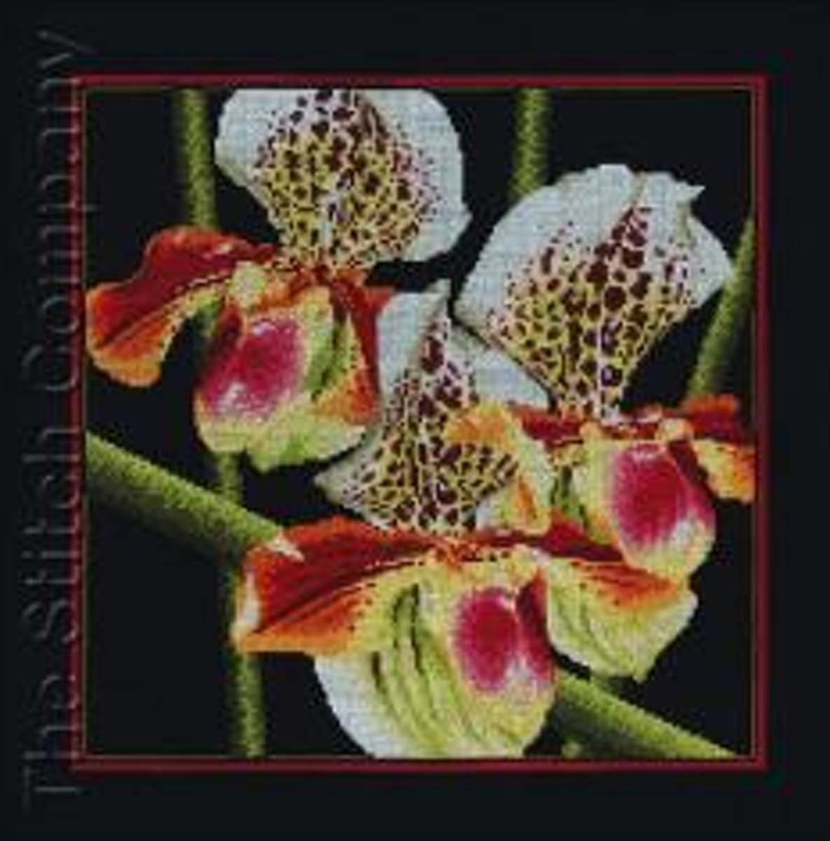 Borduurpakket   Orchids Paphiopedilum om te borduren