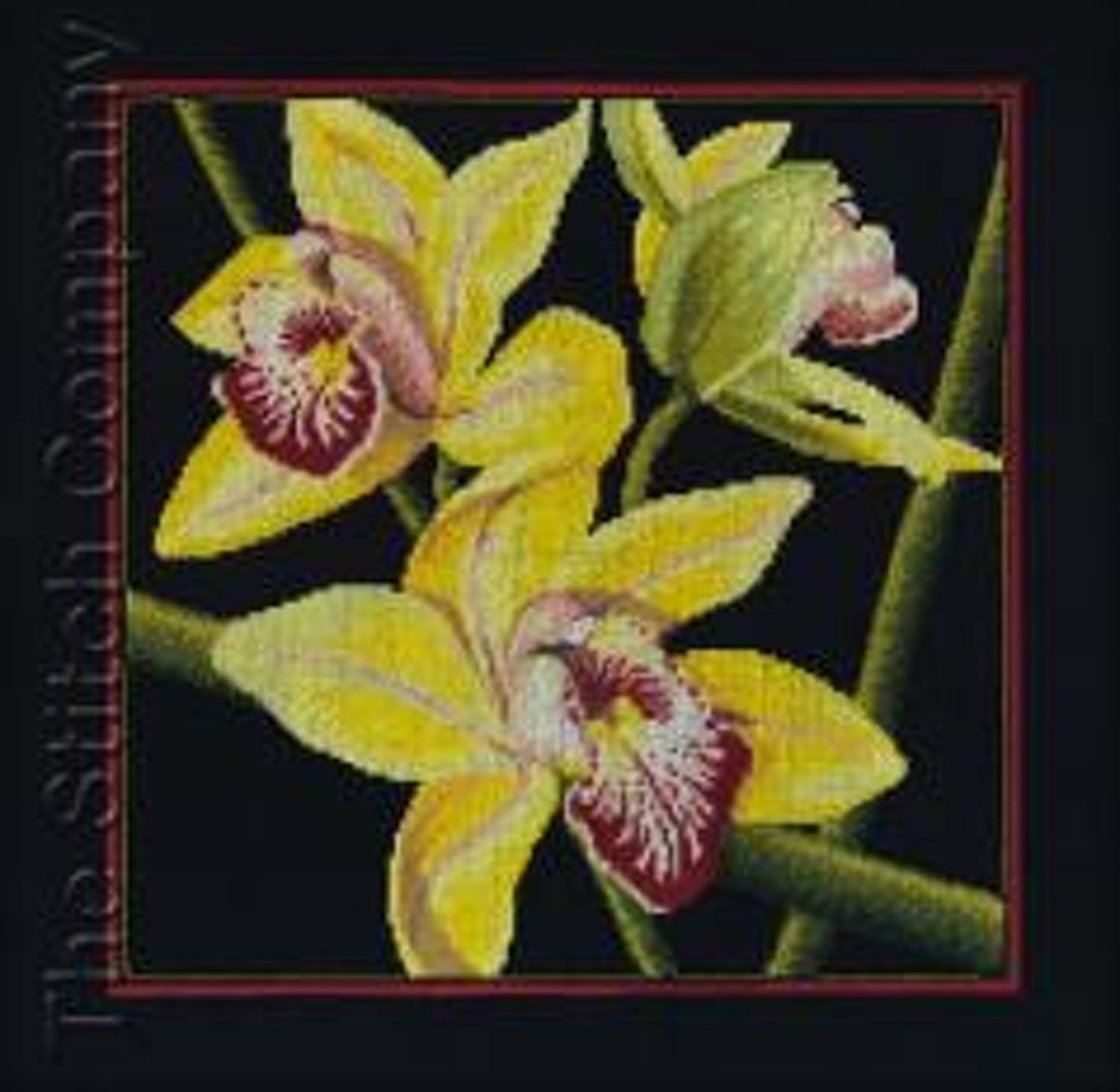 Borduurpakket  Orchids Cymbidium   om te borduren