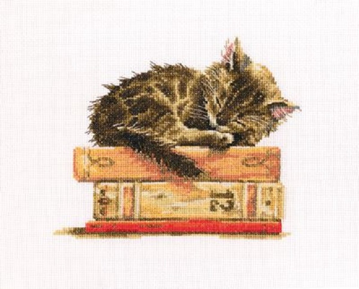 RTO borduurpakket Cats Dream m642