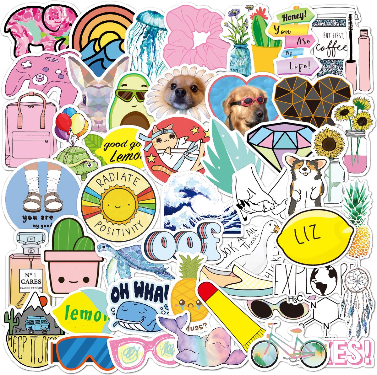 Rainbecom - Skate Stickers 50 Stuks - VSCO Esthetische Stickers - Waterdicht - Anti-Zon- Agenda - Versier je Spullen