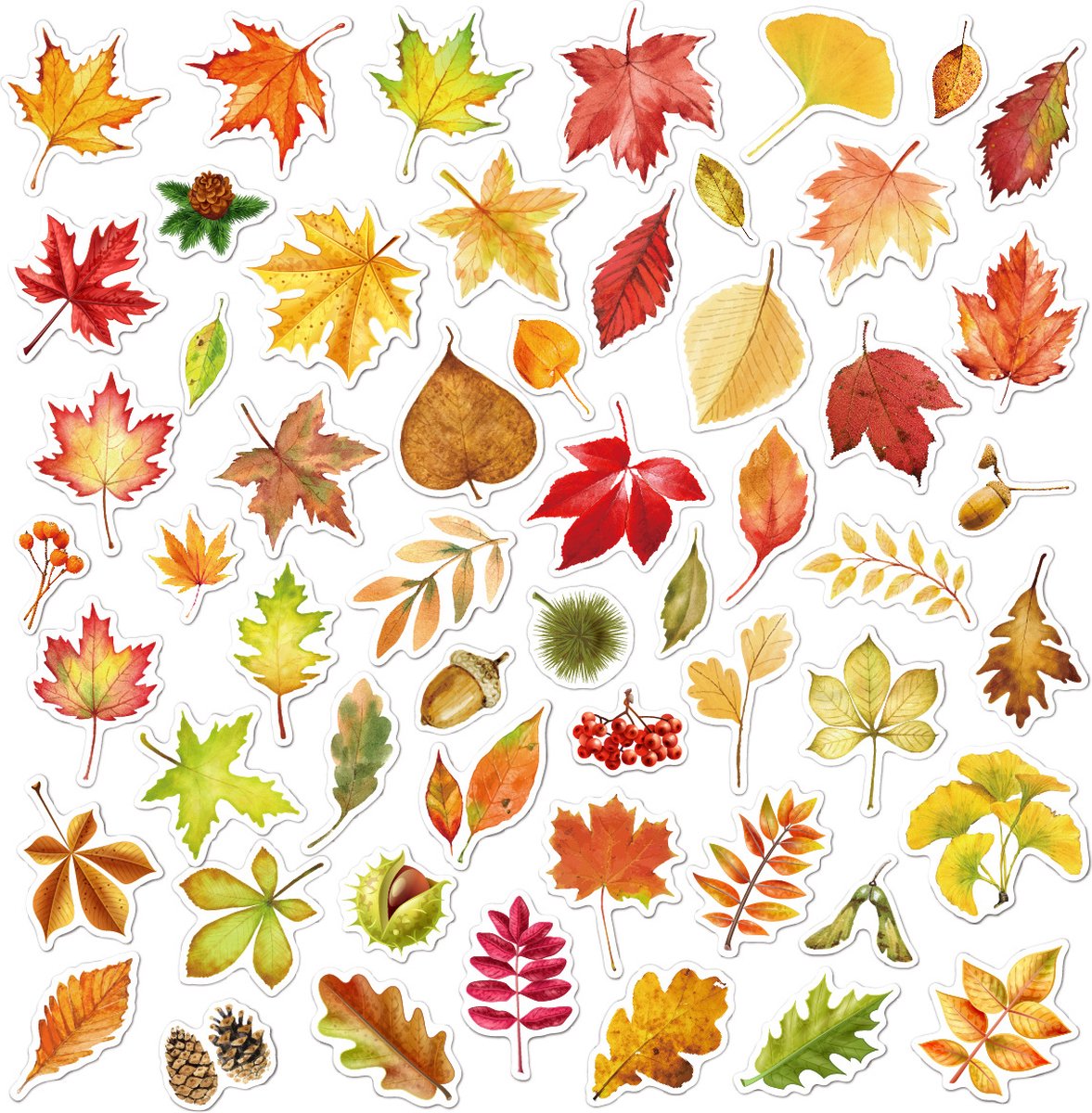 Rainbecom - Skate Stickers 55 Stuks - Herfst Thema - Bladeren - VSCO Esthetische Stickers - Waterdicht - Anti-Zon- Agenda - Versier je Spullen