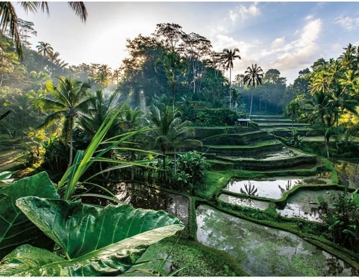 Puzzel van 2000 stukjes In het hart van Bali, Volwassenen en kinderen vanaf 14 jaar, Évasion Collectie, 12001518, Nathan