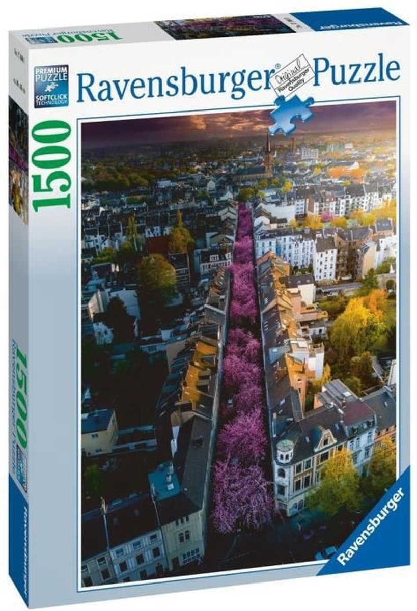   17104 puzzel Legpuzzel 1500 stuk(s) Liggend