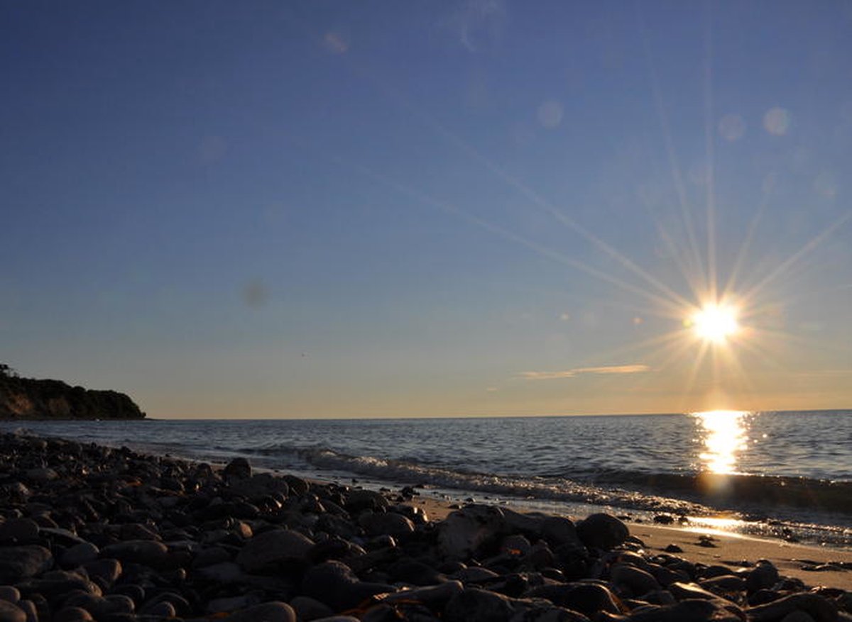   20955, 1000 stuk(s), Liggend