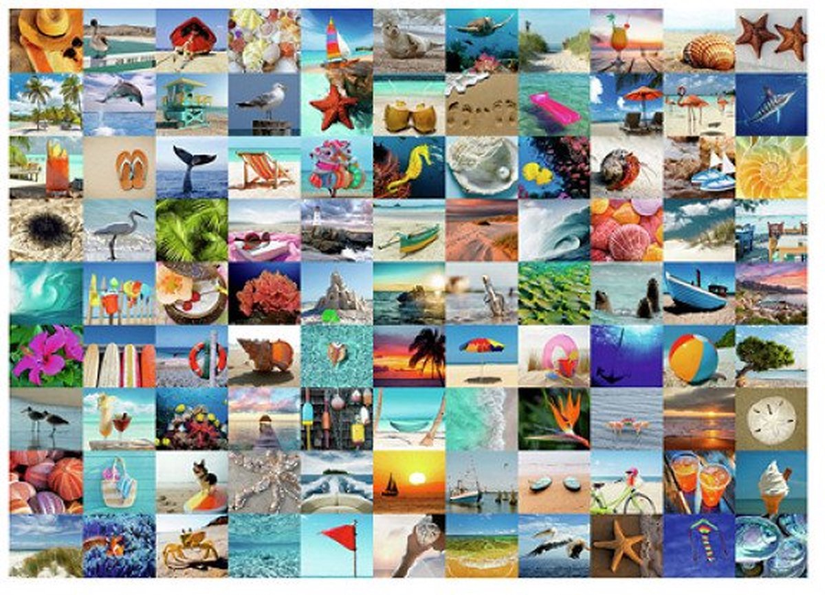   99 Momenten aan zee 1000pcs