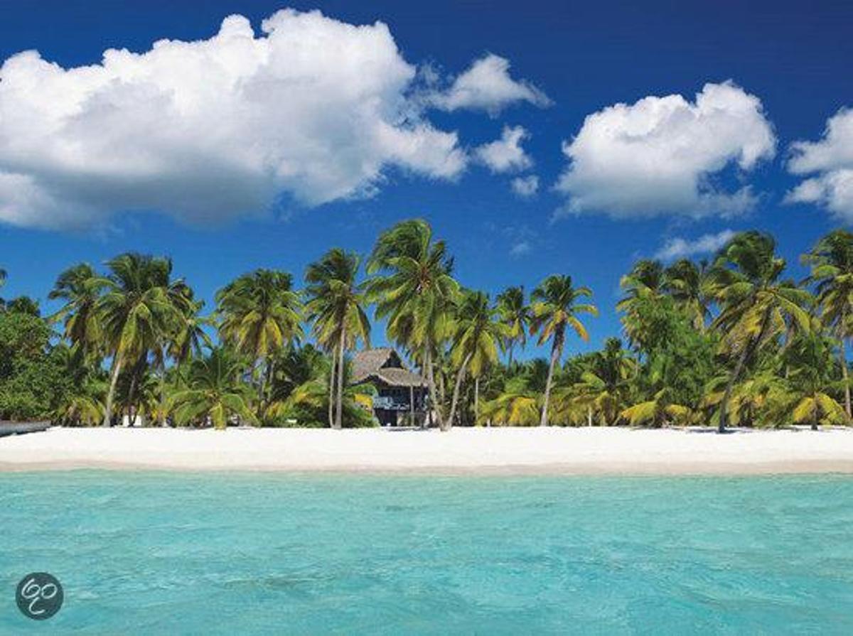   Puzzel - Tropisch Strand