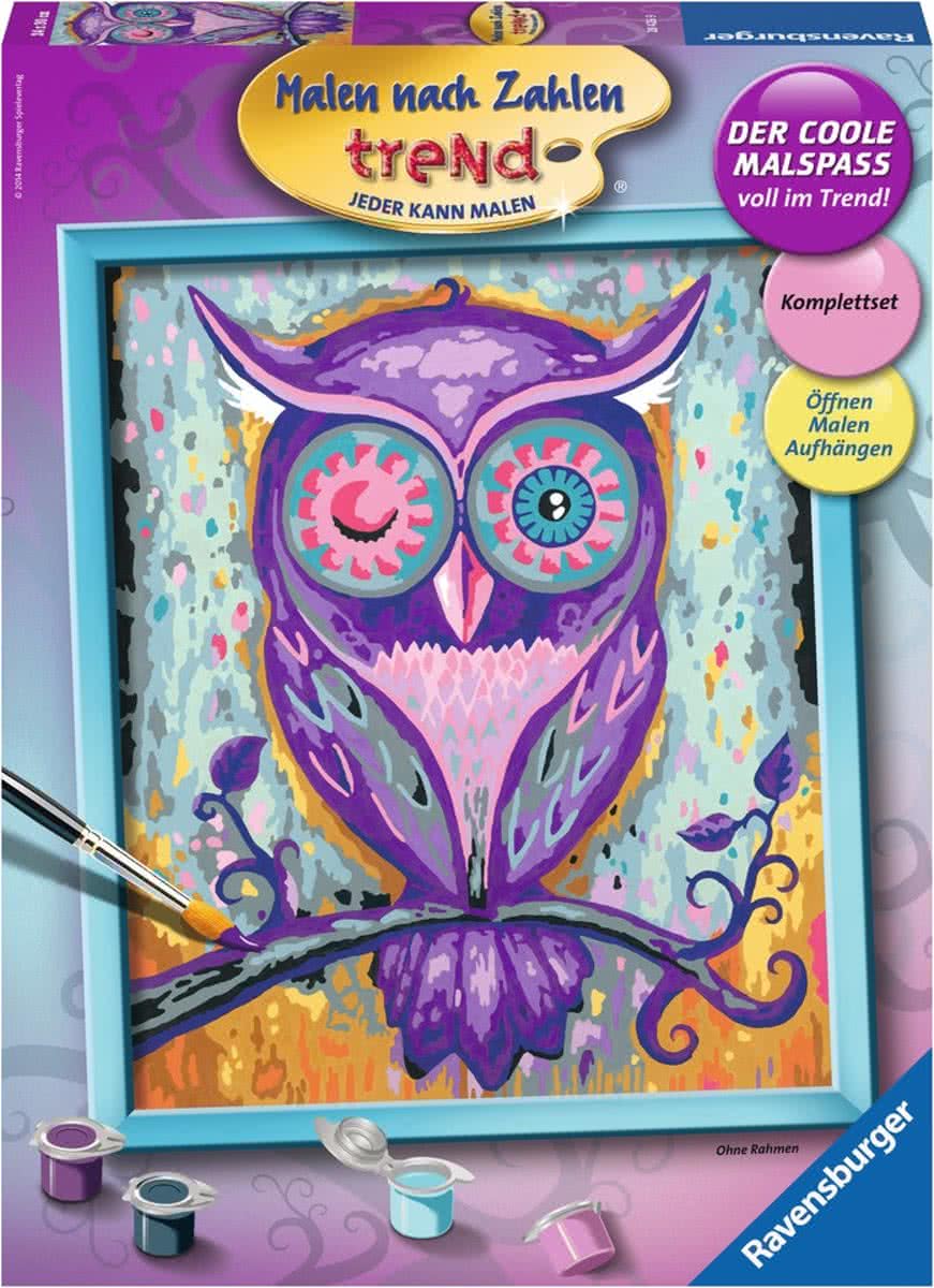 Ravensburger Schilderen op nummer Dromende uil