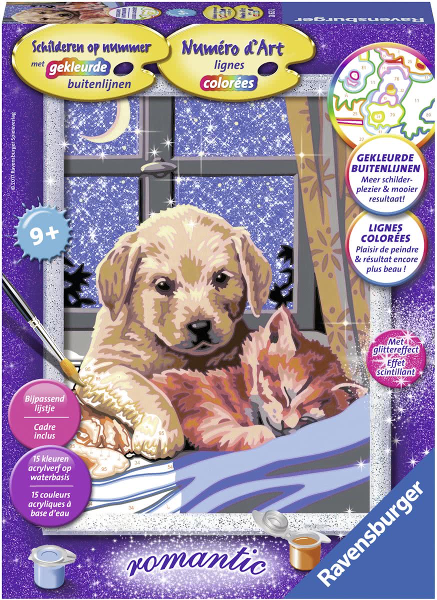 Ravensburger Schilderen op nummer Goedenacht