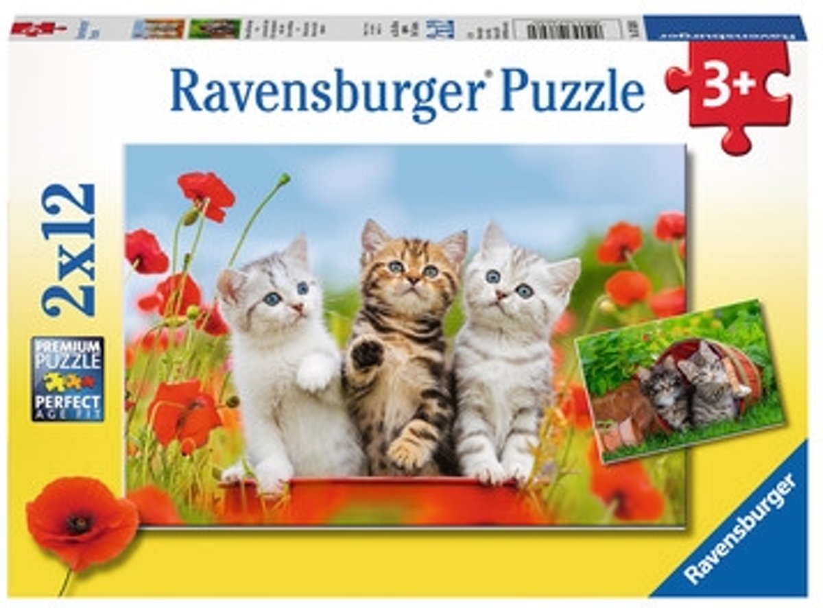 Ravensburger puzzel Katjes op ontdekkingsreis - Twee puzzels - 12 stukjes - kinderpuzzel