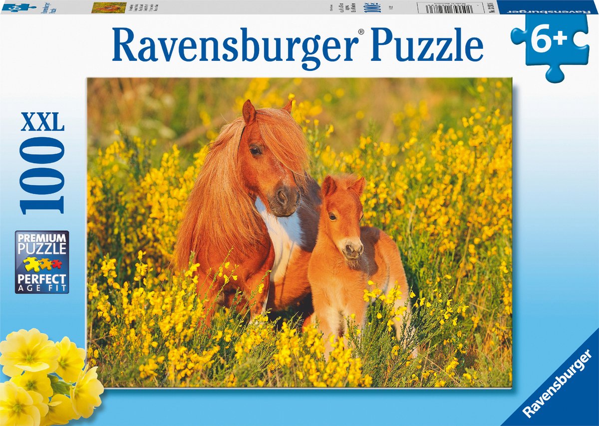 Ravensburger puzzel Shetland Ponys - Legpuzzel - 100XXL stukjes