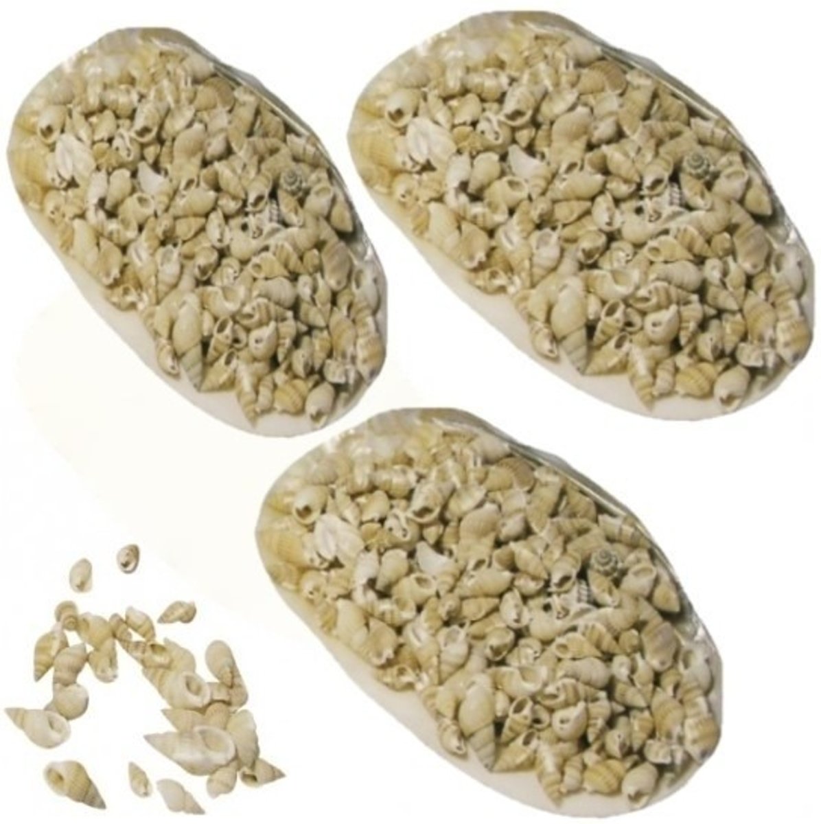 3x Posthoorn decoratie schelpen in grote parelmoerschelp - Maritiem/nautisch strand thema decoratie