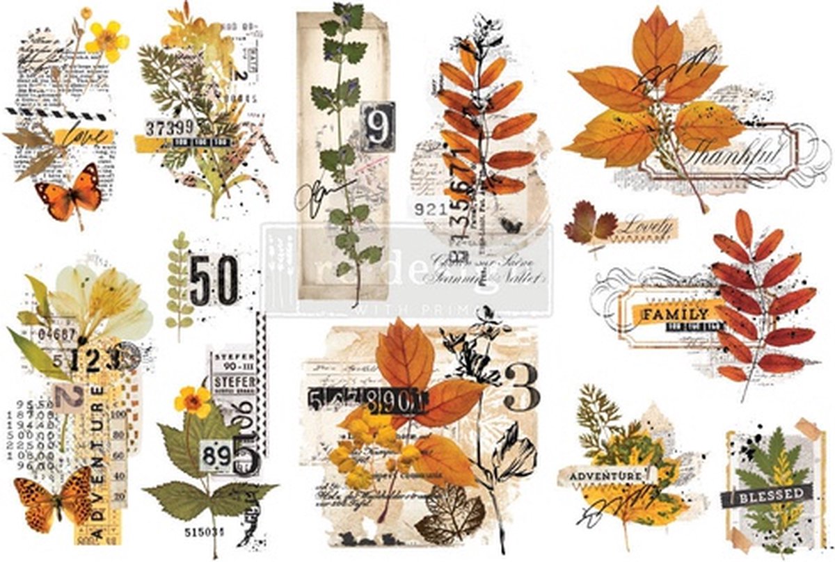 Re-Design with Prima - decor transfer - Foliage collector