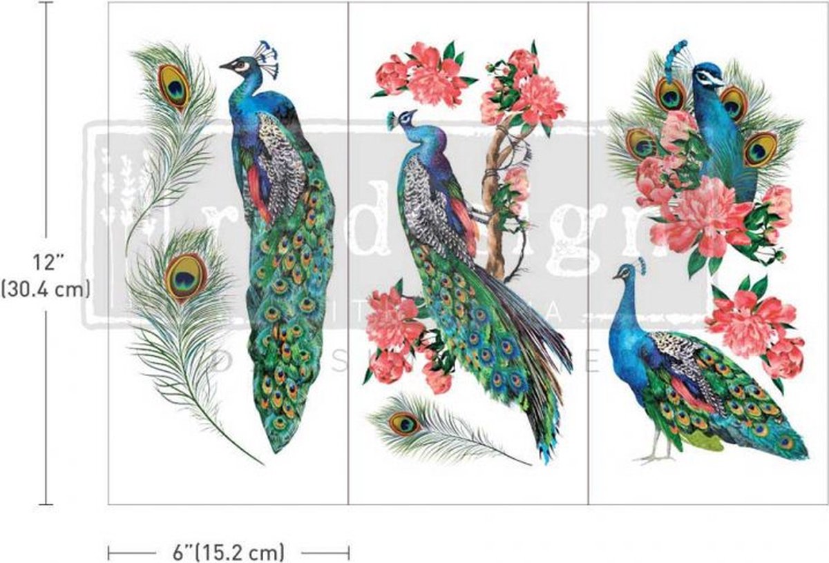 Re-Design with Prima - transfer -