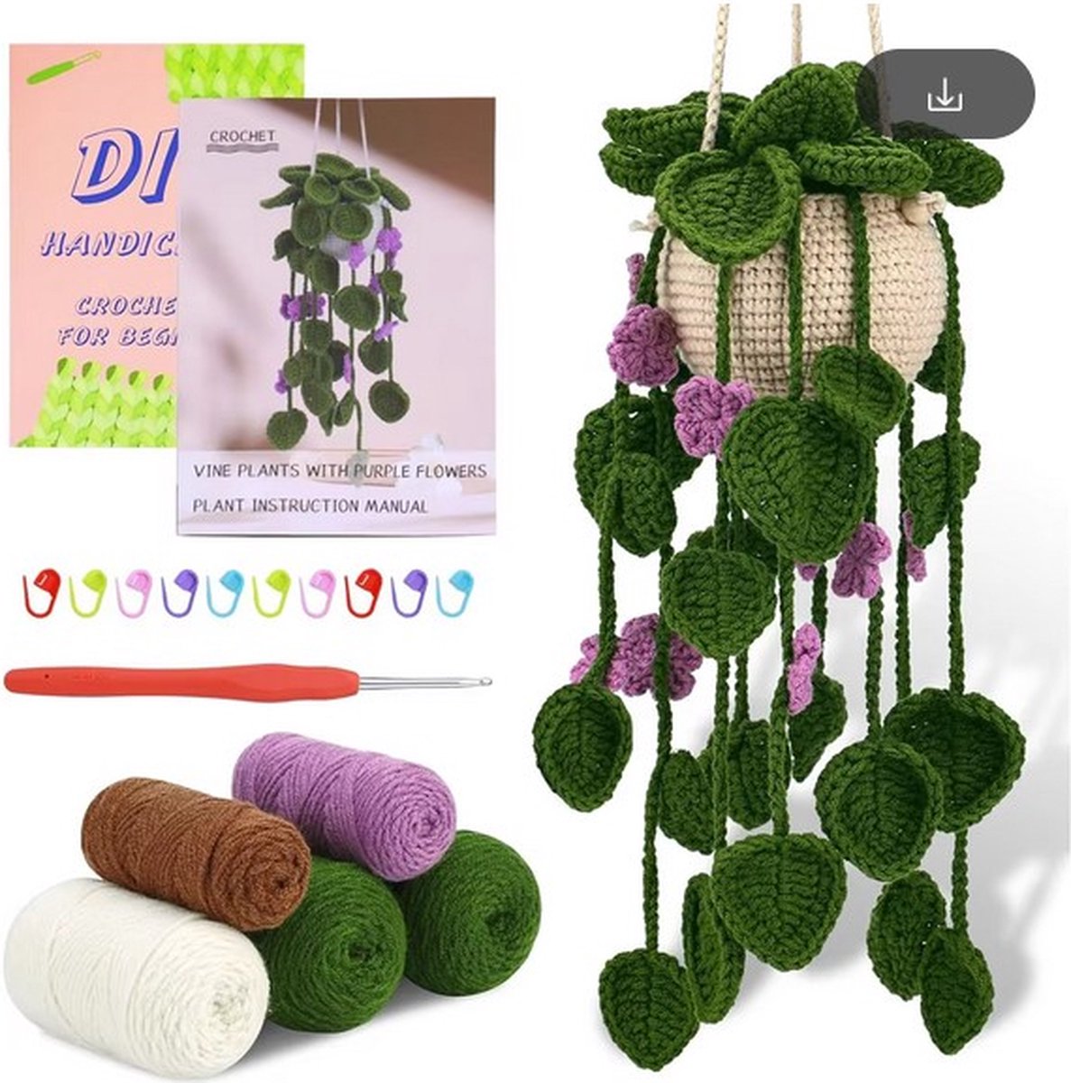 Haakpakket voor Beginners: Schattig Hangplantje in Groen en Paars - Starterspakket Haken voor Starters en Liefhebbers