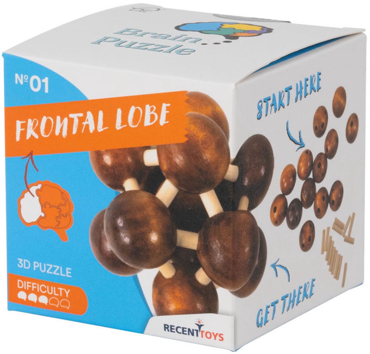 Recent Toys houten breinbreker puzzel Frontal Lobe - hersenkraker.