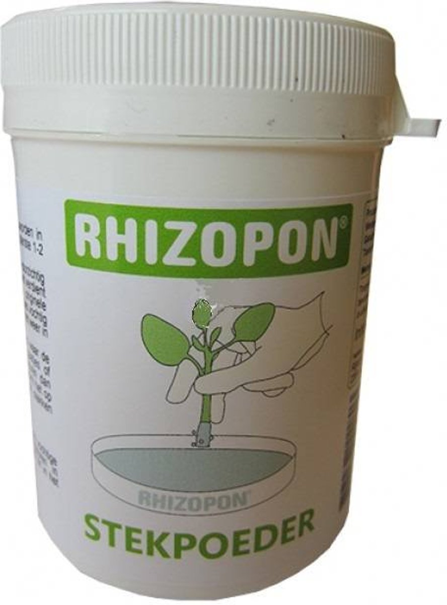 RHIZOPON CHRYZOTOP GROEN 0.25% 80 GRAM