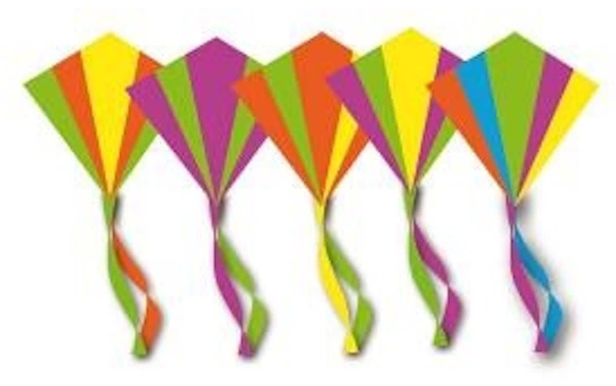   Junior Stuntvlieger Assorti