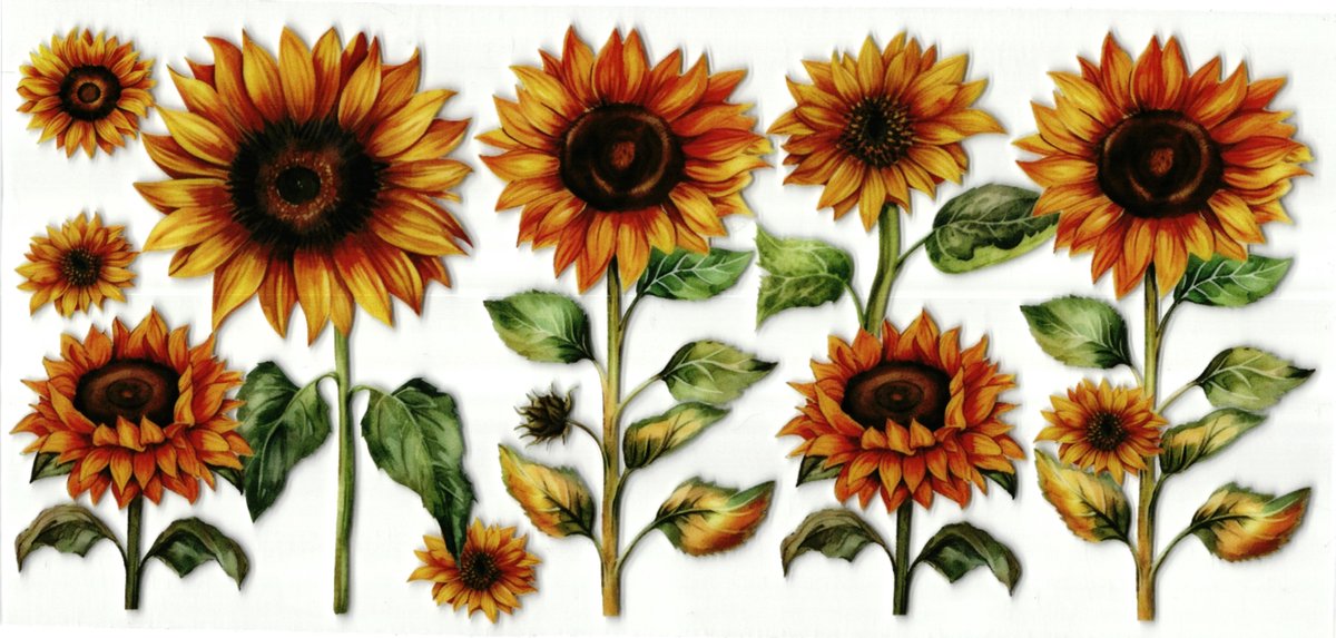 UV DTF cup wrap sticker - stickers - beker - cup - koffie - drinkbeker - sticker - zonnebloem - zonnebloemen - bloem - uv sticker - hobby - stikker - zelfklevende sticker - leuk op drinkbeker - beplakken op alle objecten - leuk voor op je koffer