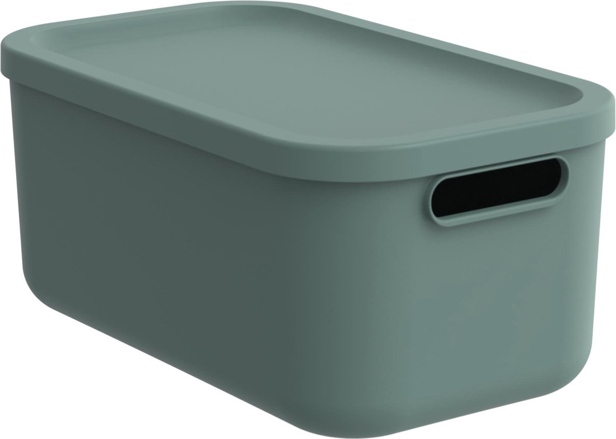 Rotho Albula Opbergbox 12L Mistletoe Groen