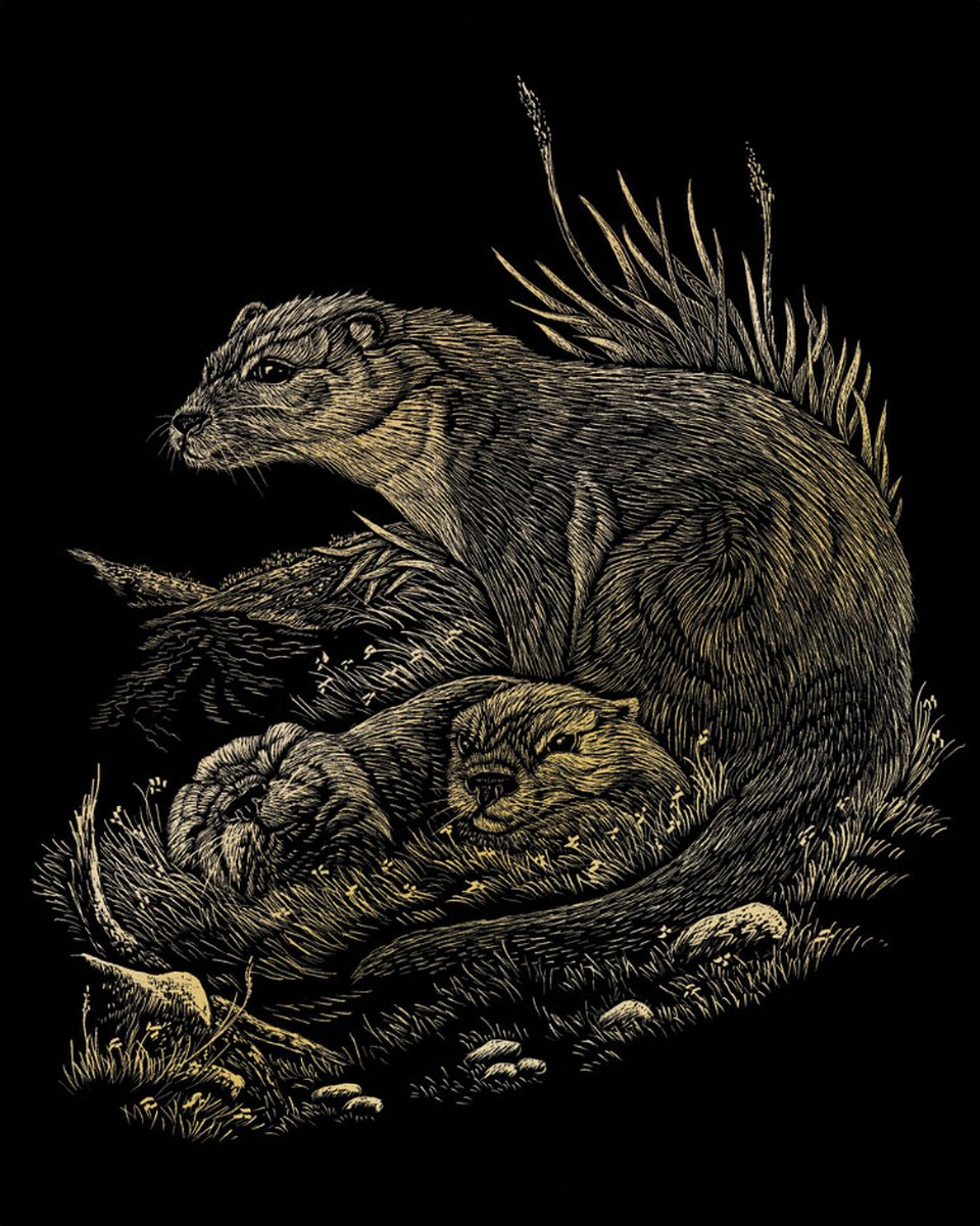 Kraskaart goud 203mm x 254mm - Otters