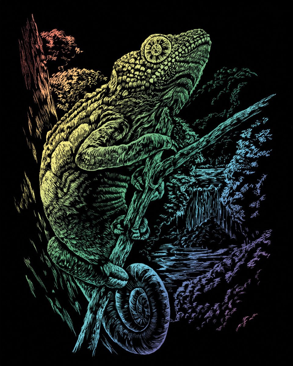 Kraskaart regenboog 203mm x 254mm - Chameleon