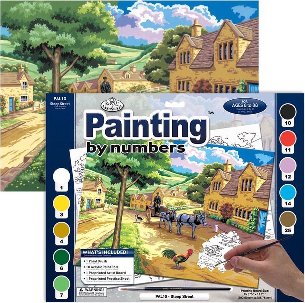 PAL10 PBN Adult Large STEEP STREET