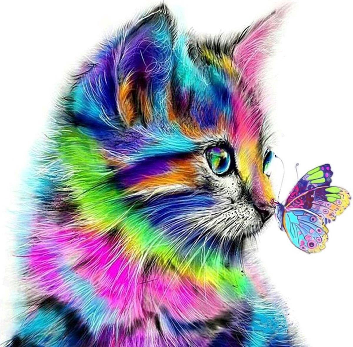 Rubye® Diamond Painting Volwassenen - Diamond Painting Kinderen - Kleurrijke Kat - 40x40cm