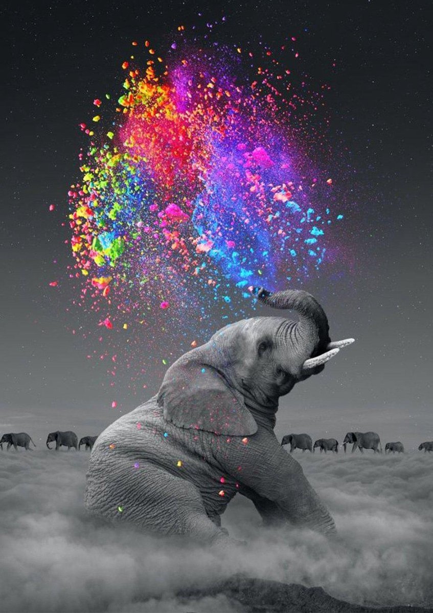 Rubye® Diamond Painting Volwassenen - Diamond Painting Kinderen - Kleurrijke Olifant - 30x40cm