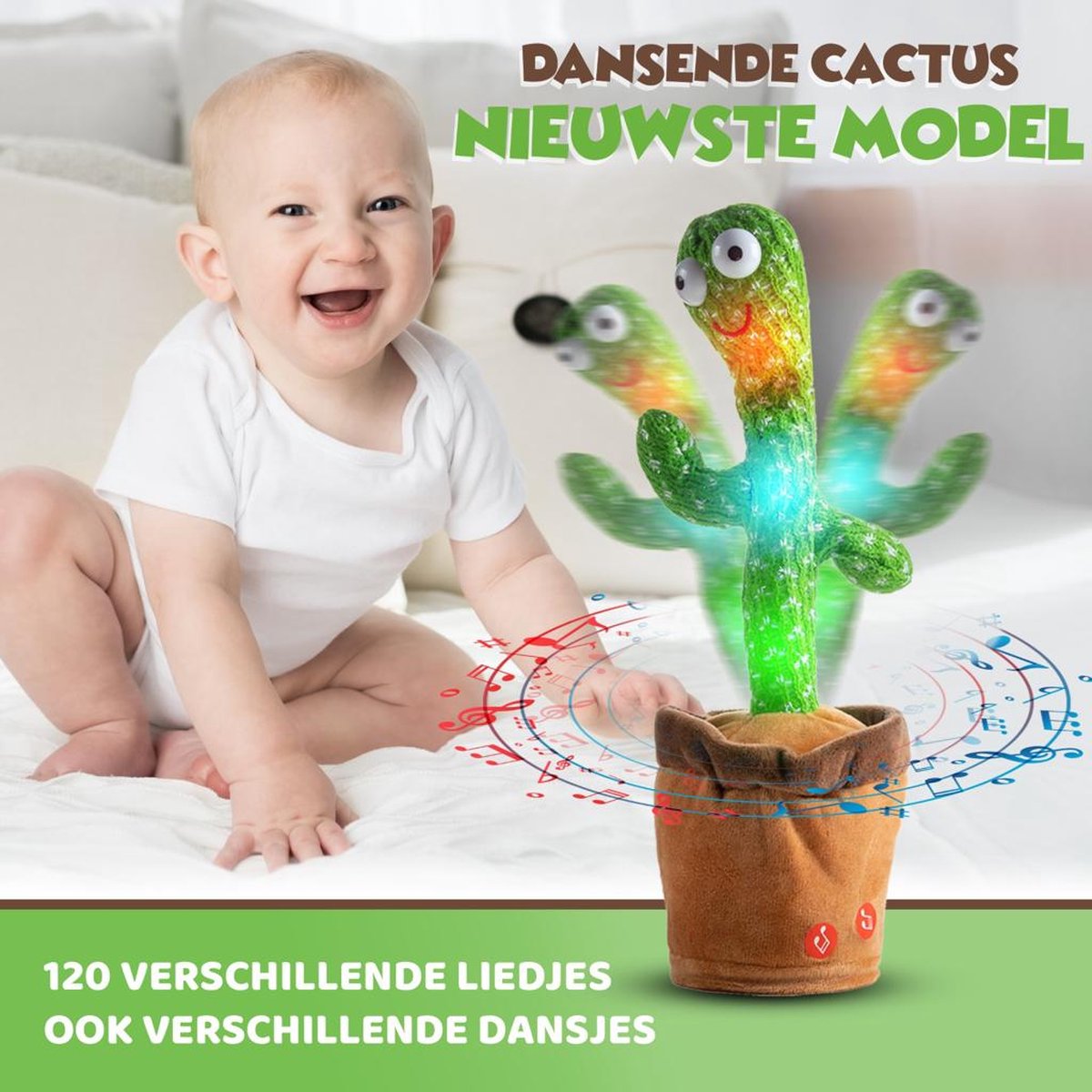   Dansende Cactus