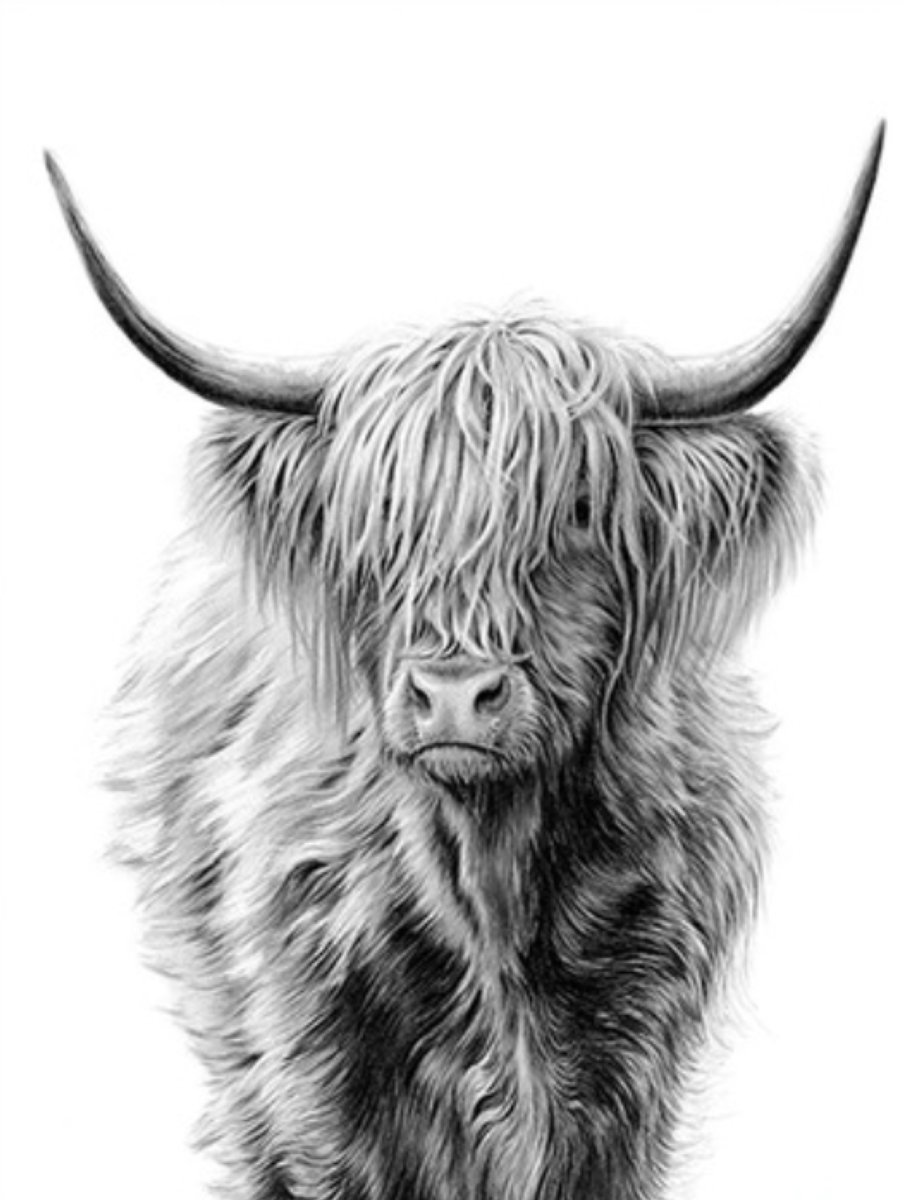 SEOS Shop ® Diamond Painting Pakket Bizon  - Volwassenen - 40x55 cm