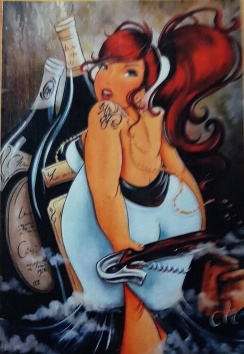 Diamond Painting Set Dikke Dame Met wijn 40x50cm Full size ronde steentjes