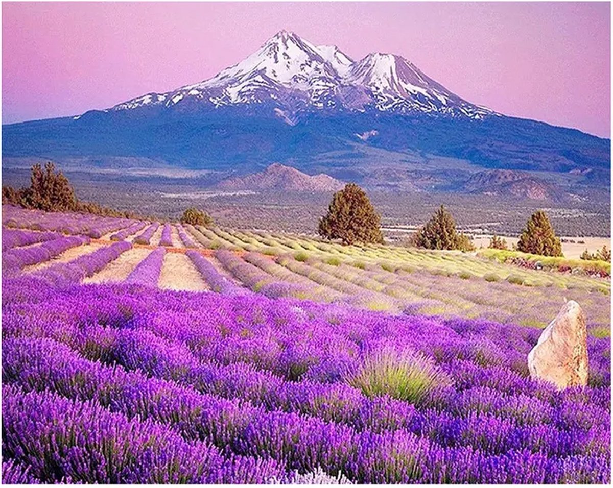 SIEPS Diamond Painting Volwassenen - Diamond Painting Kinderen - Kleurrijke Berg met Lavendel - Inclusief Diamond Painting Pen , Bakje & Wax - 30 x 40 CM - Diamond Painting Pakket Volledig