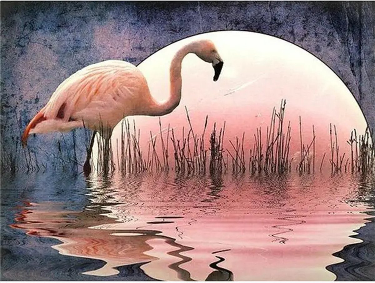 SIEPS Diamond Painting Volwassenen - Diamond Painting Kinderen - Kleurrijke Flamingo bij Maanlicht - Inclusief Diamond Painting Pen , Bakje & Wax - 30 x 40 CM - Diamond Painting Pakket Volledig