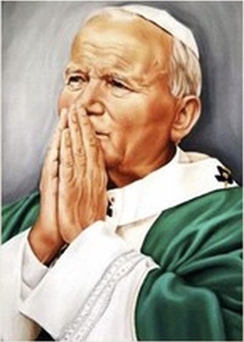 SIEPS Diamond Painting Volwassenen - Diamond Painting Kinderen - Paus - Inclusief Diamond Painting Pen , Bakje & Wax - 30 x 40 CM - Diamond Painting Pakket Volledig