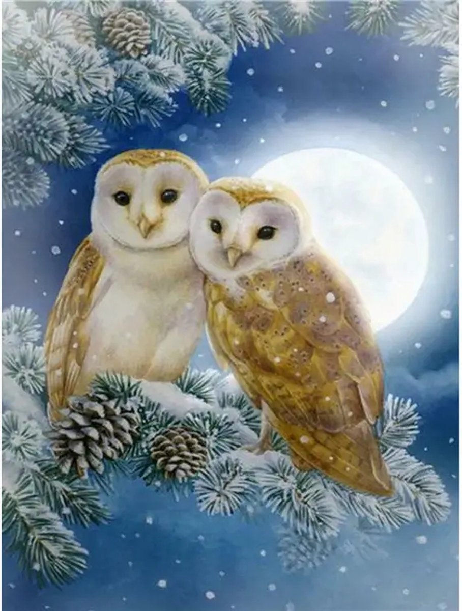 SIEPS Diamond Painting Volwassenen - Diamond Painting Kinderen -Uiltjes - Inclusief Diamond Painting Pen , Bakje & Wax - 30 x 40 CM - Diamond Painting Pakket Volledig