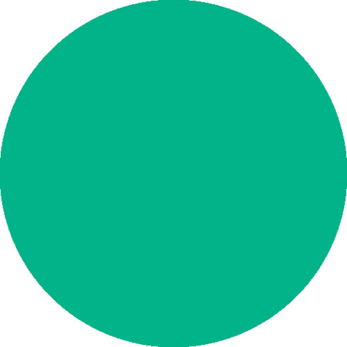 STAHLS CAD-CUT® SportsFilm 2 vellen 30 x 50 CM / Mint ( 419 ) Transfer folie / Flexfolie plotter