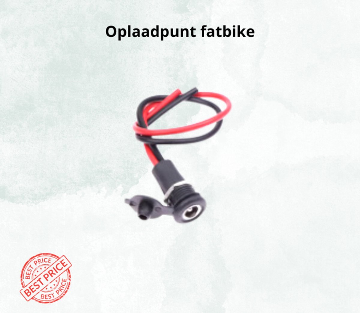 oplaadpunt fatbike - oplaad kabel - oplaad ebike - elektrische step - fatbike