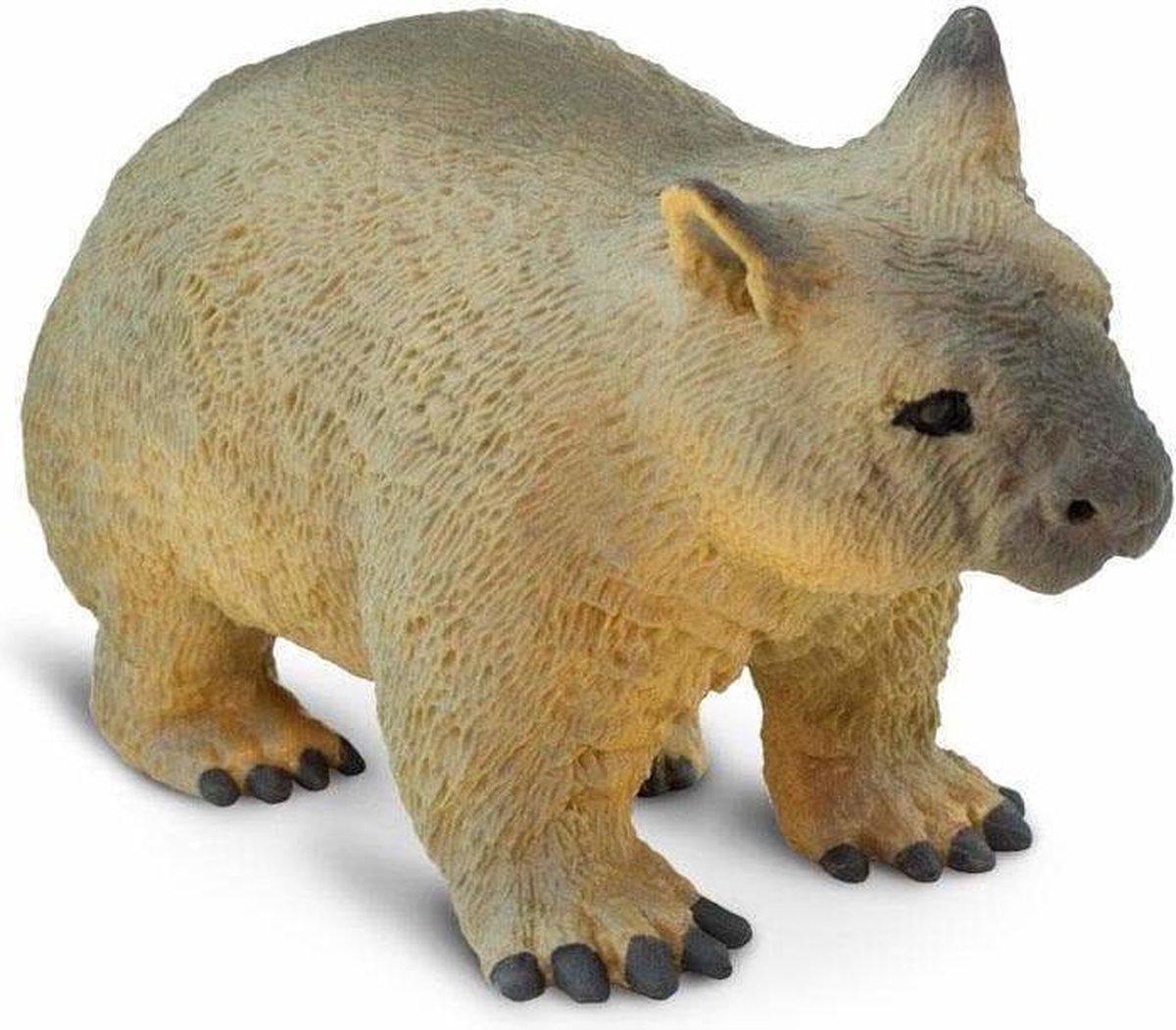 Safari Wilde Dieren Wombat Junior 6,25 Cm Lichtbruin