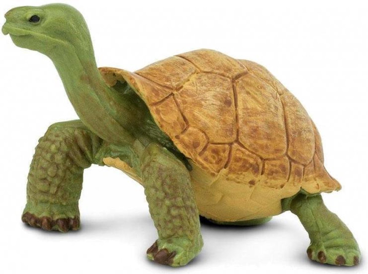 speeldier schildpad junior 7,5 x 5,5 cm groen/bruin