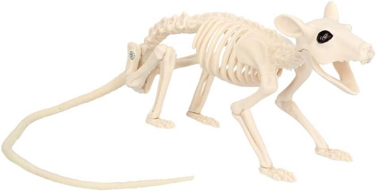 Rattenskelet - Rat - Maat 46 cm - Per Stuk - Dummy van Kunststof