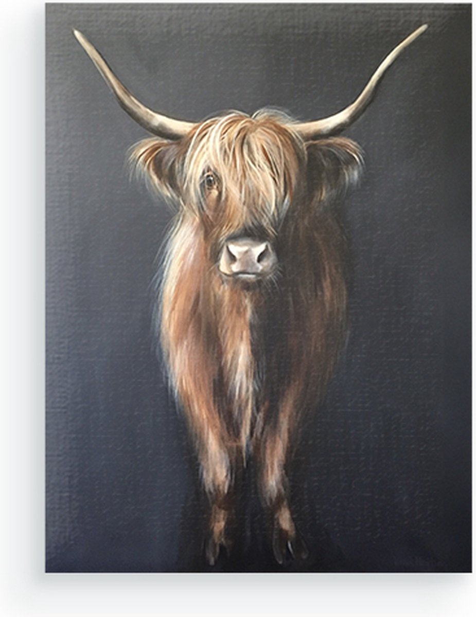 Schilderenopnummers.com® De stilte van de Schotse Hooglander - 40x50 cm – Schilderen op nummer -Schilderen op nummer volwassenen