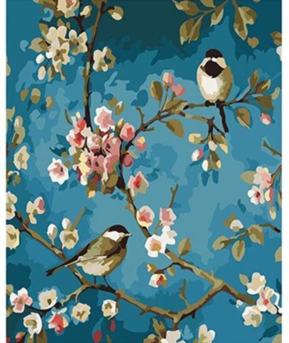 Schilderenopnummers.com® Koolmezen bij bloesem - 50x40 cm – Schilderen op nummer -Schilderen op nummer volwassenen